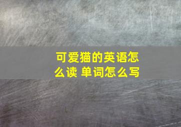 可爱猫的英语怎么读 单词怎么写